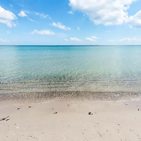 30319-odder-grindevej-19