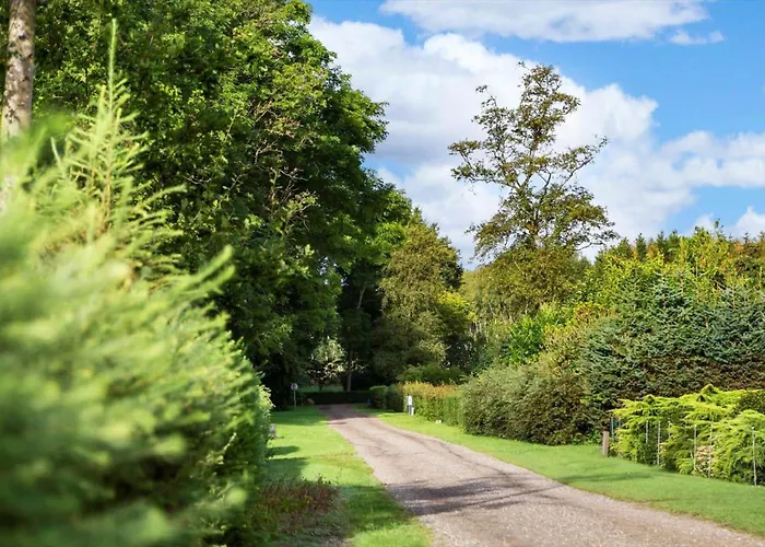 30319-odder-grindevej-19 Odder