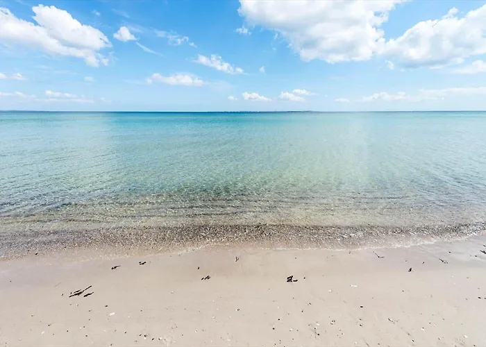 30319-odder-grindevej-19